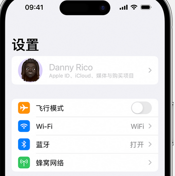 打安镇appleID维修服务iPhone设置中Apple ID显示为灰色无法使用