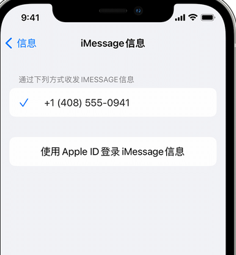 打安镇apple维修iPhone上无法正常发送iMessage信息 