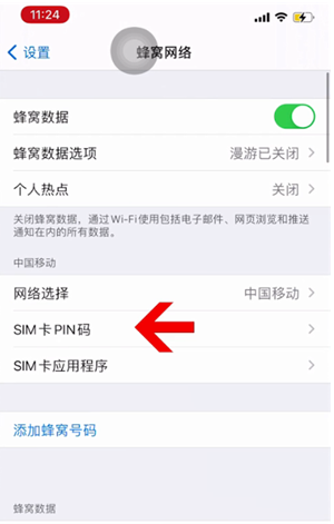 打安镇苹果14维修网分享如何给iPhone14的SIM卡设置密码 