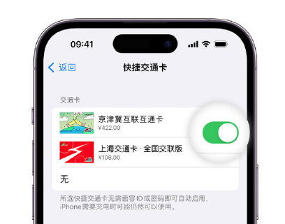 打安镇apple维修点分享iPhone上更换Apple Pay快捷交通卡手绘卡面 