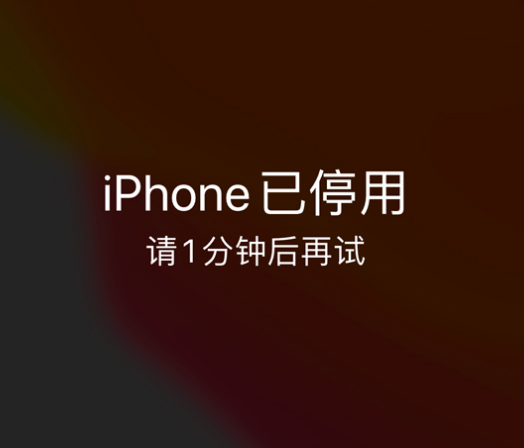 打安镇苹果手机维修分享:iPhone 显示“不可用”或“已停用”怎么办？还能保留数据吗？ 