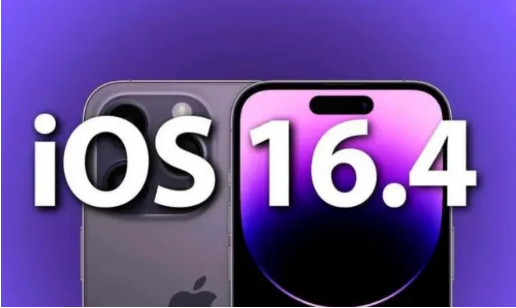 打安镇苹果14维修分享：iPhone14可以升级iOS16.4beta2吗？ 