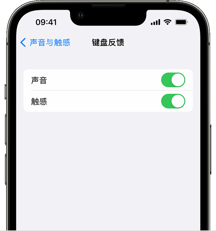 打安镇苹果14维修店分享如何在 iPhone 14 机型中使用触感键盘 