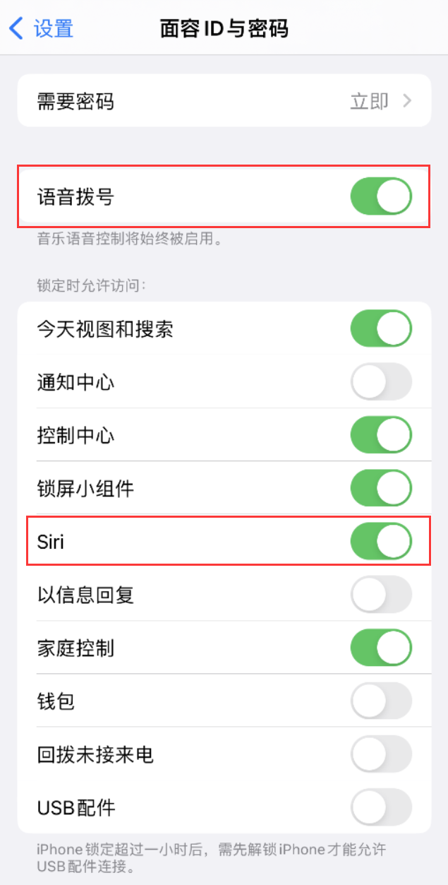 打安镇苹果维修网点分享不解锁 iPhone 的情况下通过 Siri 拨打电话的方法 