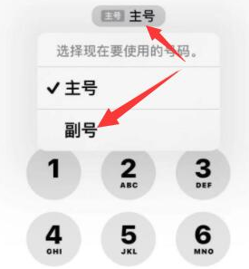 打安镇苹果14维修店分享iPhone 14 Pro Max使用副卡打电话的方法 