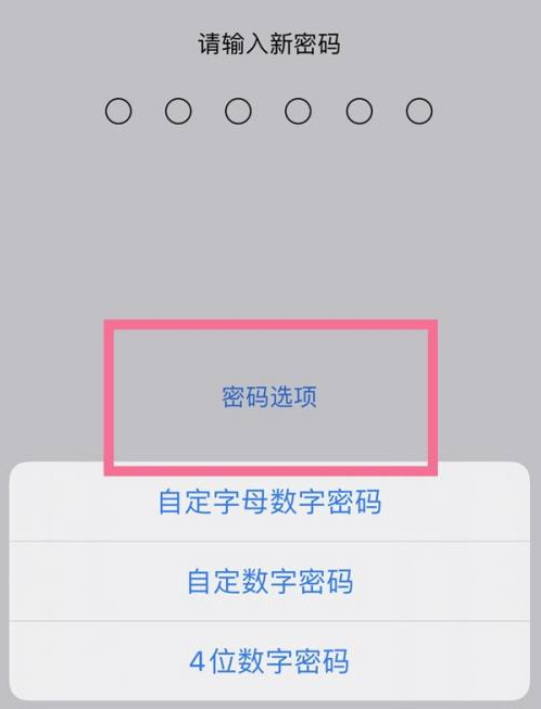 打安镇苹果14维修分享iPhone 14plus设置密码的方法 