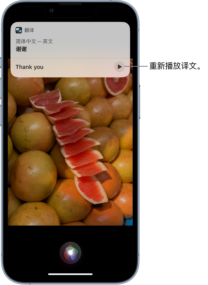 打安镇苹果14维修分享 iPhone 14 机型中使用 Siri：了解 Siri 能帮你做什么 