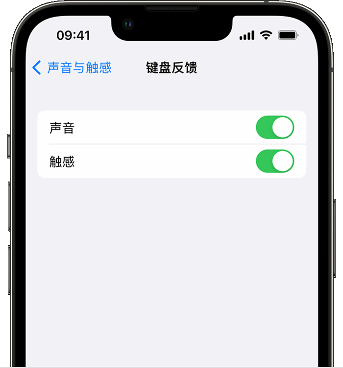 打安镇苹果14维修分享iPhone 14 系列机型如何开启键盘声音或触感反馈 