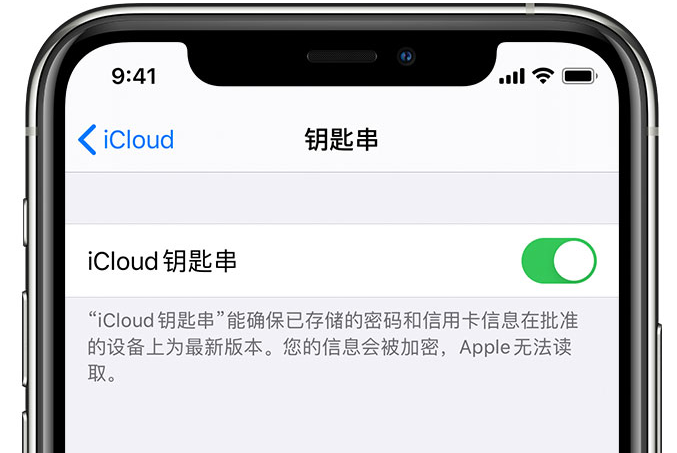 打安镇苹果手机维修分享在 iPhone 上开启 iCloud 钥匙串之后会储存哪些信息 