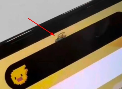 打安镇苹果14维修分享iPhone 14 Pro Max灵动岛怎么养宠物 