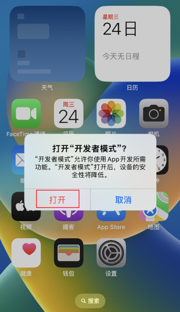 打安镇苹果手机维修分享如何打开开发者模式 