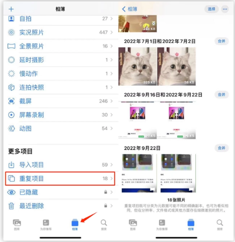 打安镇苹果手机维修分享iOS 16 中相册重复项目功能使用方法 