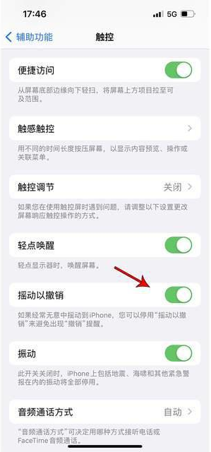 打安镇苹果手机维修分享iPhone手机如何设置摇一摇删除文字 