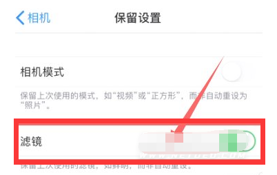 打安镇苹果13维修分享iPhone13拍照有绿点是怎么回事 