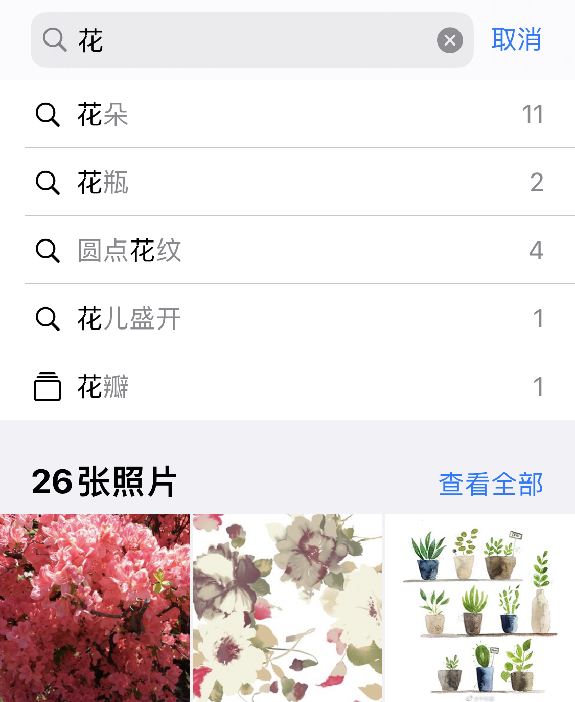 打安镇苹果手机维修分享iPhone 小技巧 
