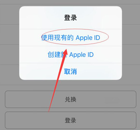 打安镇苹果手机维修分享两台iPhone设备可以同时登录一个Apple ID吗 