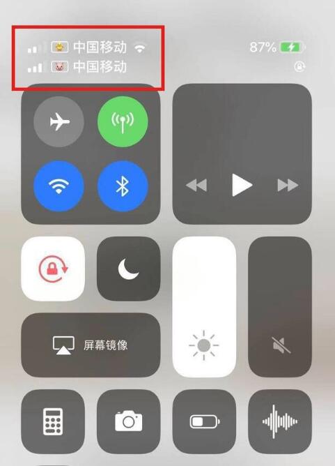 打安镇苹果手机维修分享为 iPhone 12 双卡设置标签 